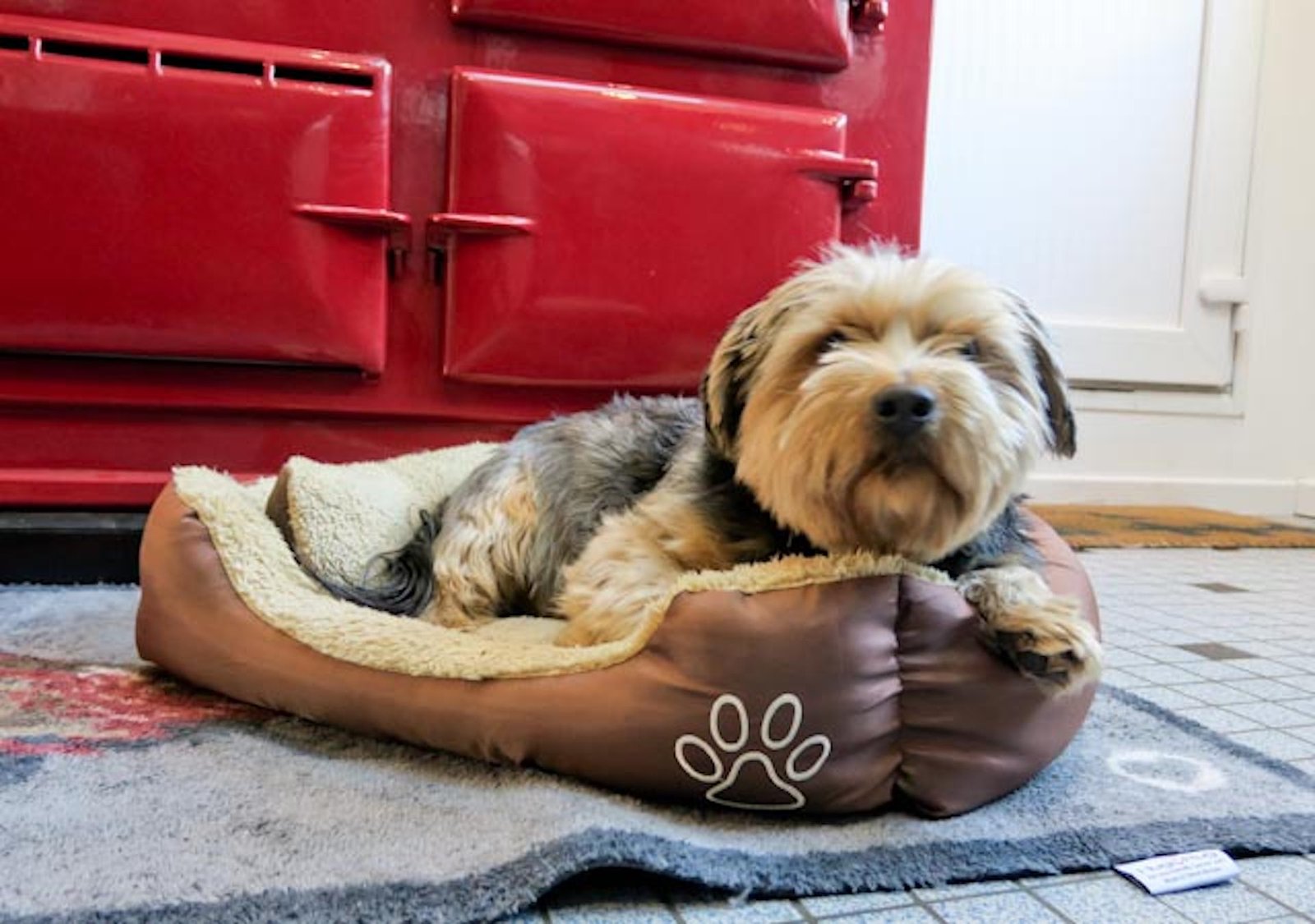Pet Friendly Cottages To Rent Aga Cottages